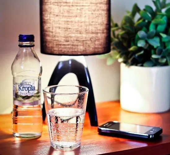 Cieszynski Centrum 3* צ'שין