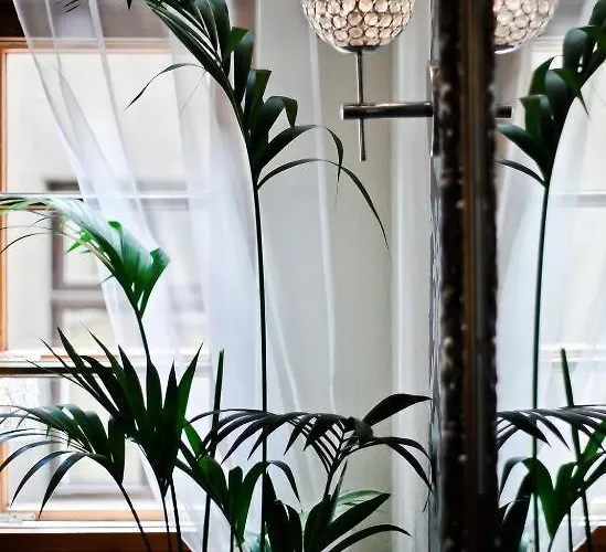 Cieszynski Centrum צ'שין