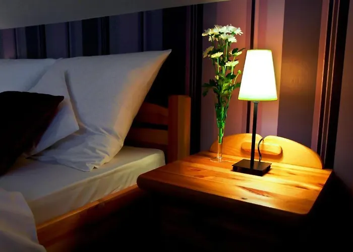 Cieszynski Centrum 3* צ'שין